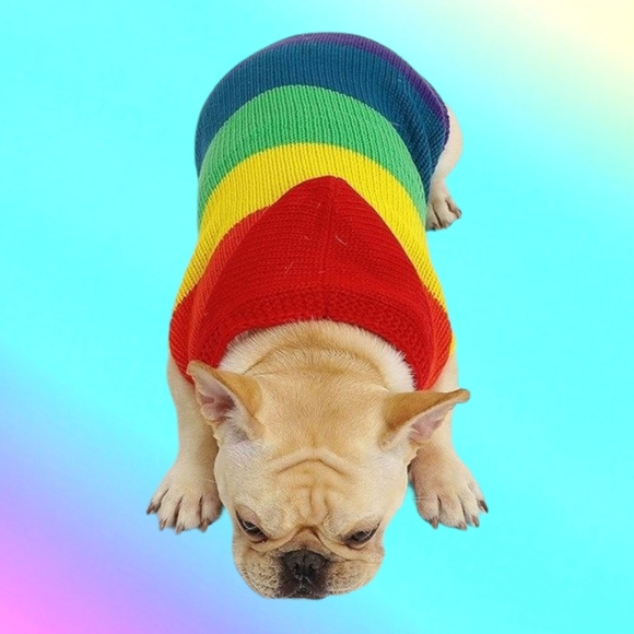 🐾 Pet Sweater Cozy Rainbow Pet Knitwear for a Warm and Stylish Fall, New - Picture 3 of 6